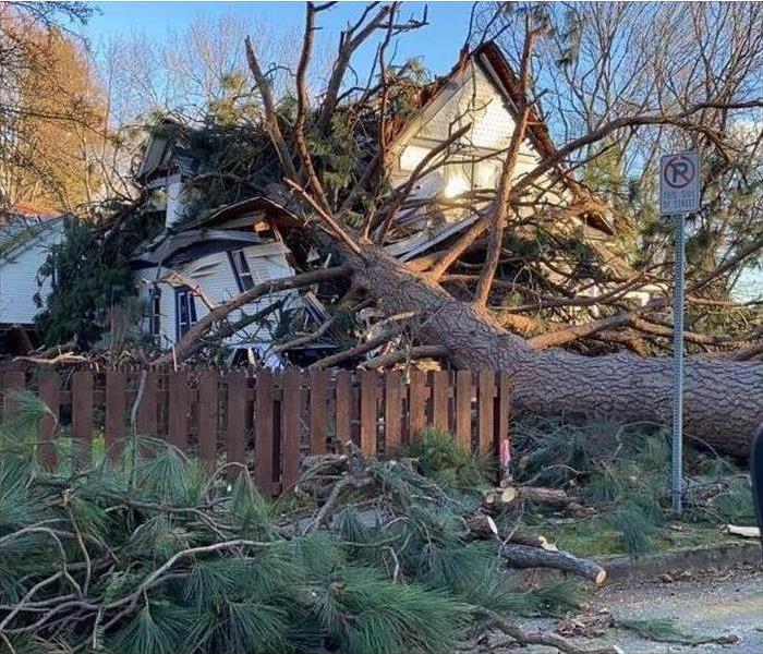 Windstorm damage to a home from a fallen tree